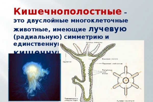 Как зарегистрироваться на сайте кракен