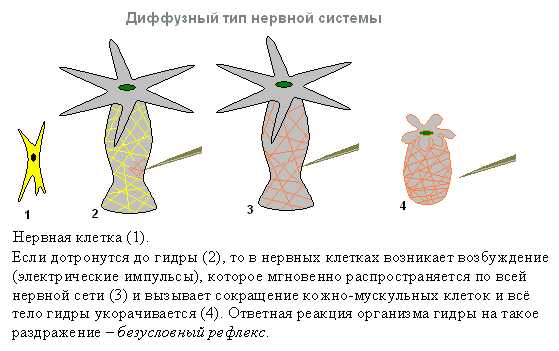 Кракен что это такое наркотики